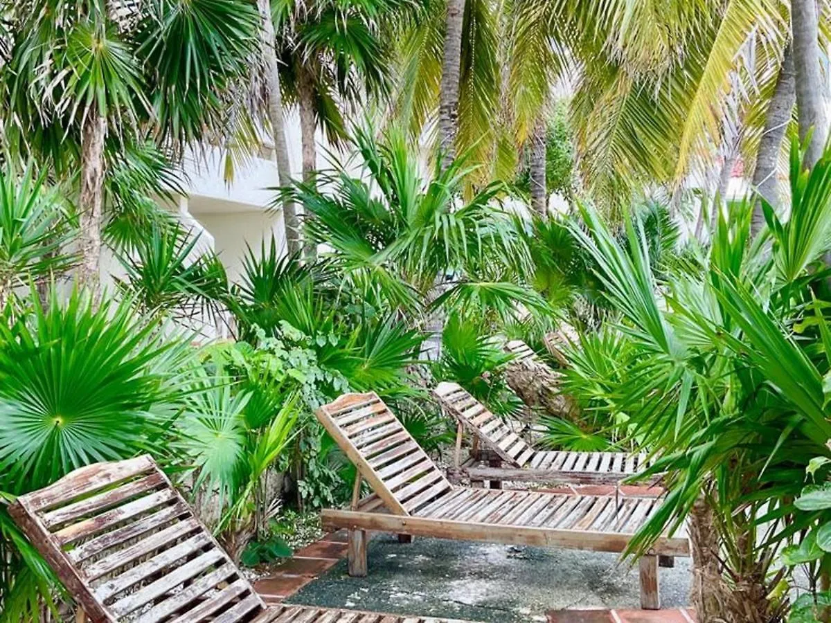 Apartment Confortable With Beautiful Sunset View And Beach Cancún